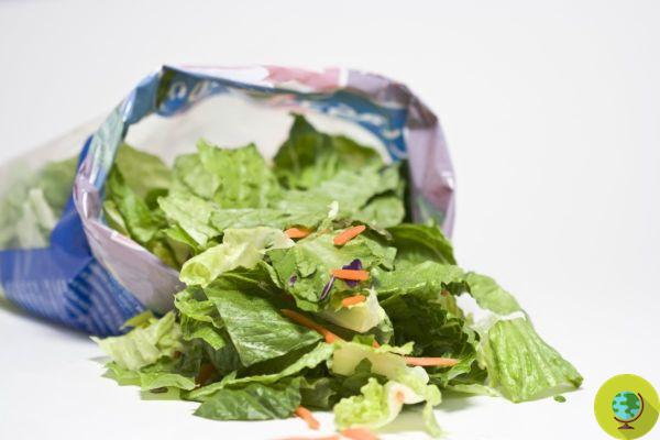 Foi uma salada em um saco que desencadeou um surto de Criptosporidiose na Irlanda