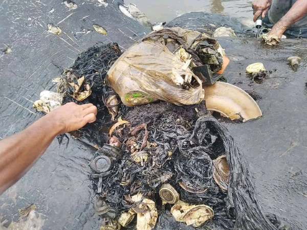 Cachalote varado en Indonesia: 115 vasos de plástico y hasta 2 chancletas en el estómago