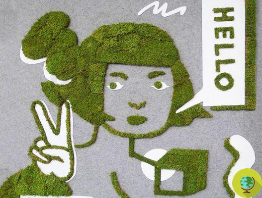 Sprout Guerrilla: the air-purifying moss graffiti kit