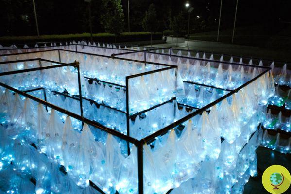 The plastic labyrinth: 6 thousand bottles to reflect on waste