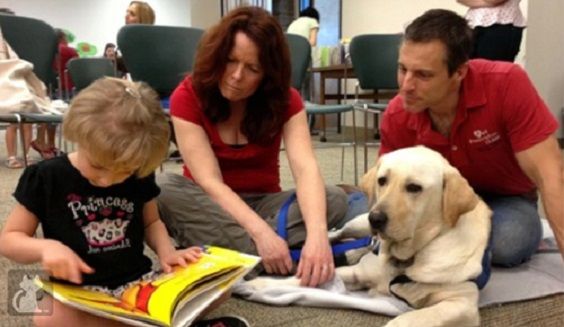 Molly: the dog abused and with cancer that is reborn with Pet Therapy