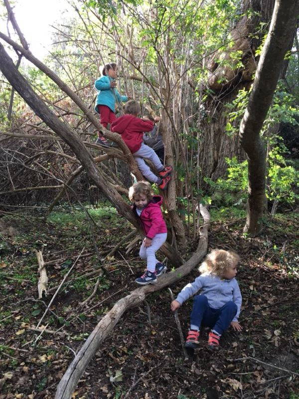 Le jardin d'enfants qui vous apprend à grimper aux arbres et à aimer la nature