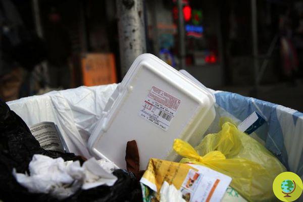 New York interdit les contenants jetables en polystyrène