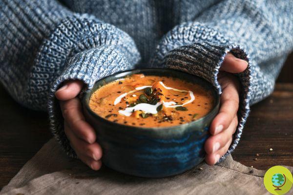 Soup day: origins and recipes to celebrate it