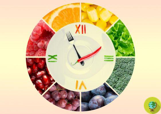 Clock diet: lose weight by fasting 12 hours a day