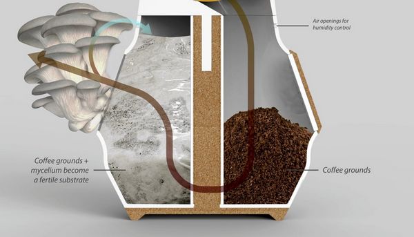 The coffee maker that reuses coffee grounds to grow mushrooms at home (PHOTO)