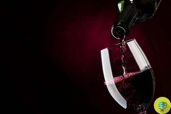 Vin rouge : le sans alcool fait baisser la pression