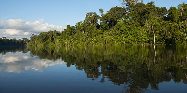 Yaguas National Park established: Peru protects one of the last intact forests on Earth