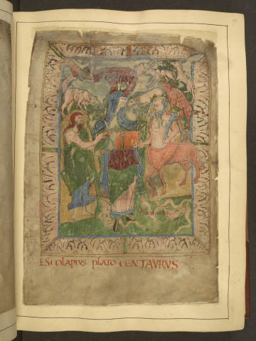 Millennial herbal remedies: the oldest illustrated manuscript of folk medicine is now online