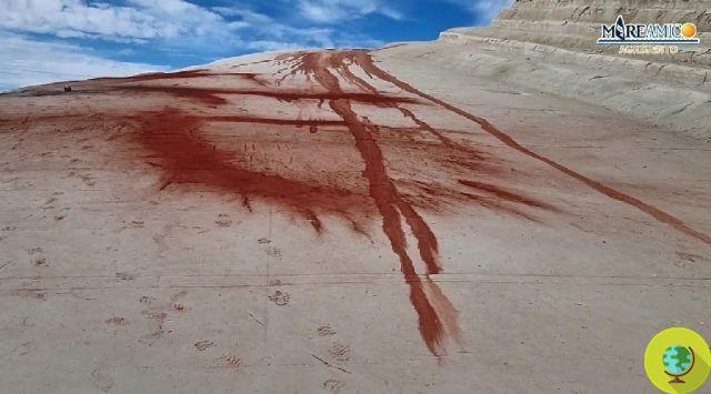 Young volunteers at work to clean up the Scala dei Turchi, smeared with red paint by vandals