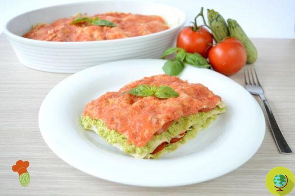 Cold lasagna without cooking with zucchini pesto, tomatoes and carasau bread