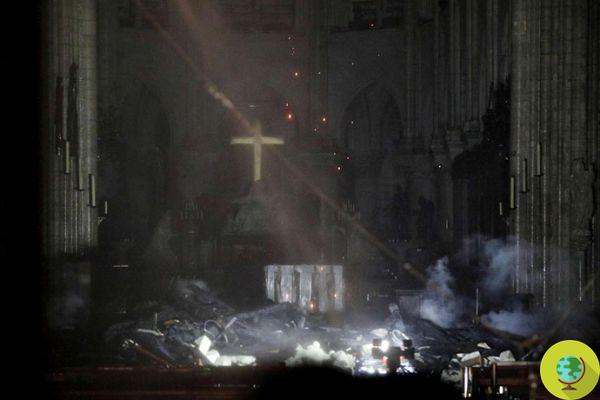 Notre-Dame: los rosetones salvados de las llamas. Esto es lo que se guardó
