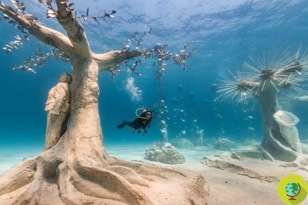 The first underwater sculpture forest is born in Cyprus, which offers shelter to fish and makes you think deeply