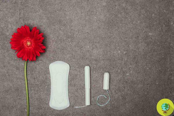 10 false myths about the cycle debunked by the sociologist: it's time to revolutionize menstruation