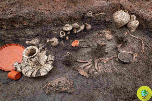 O túmulo excepcional de um menino de 2.000 anos, enterrado com seu cachorrinho, descoberto na França