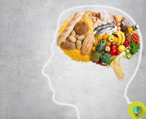 Carne e junk food alimentam Alzheimer e demência