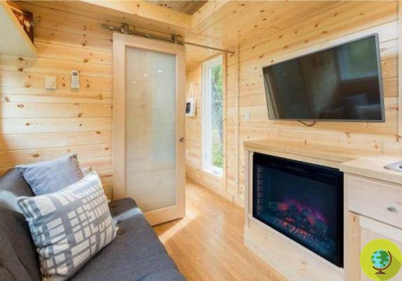 Tiny house: the most beautiful micro house in the world according to Forbes