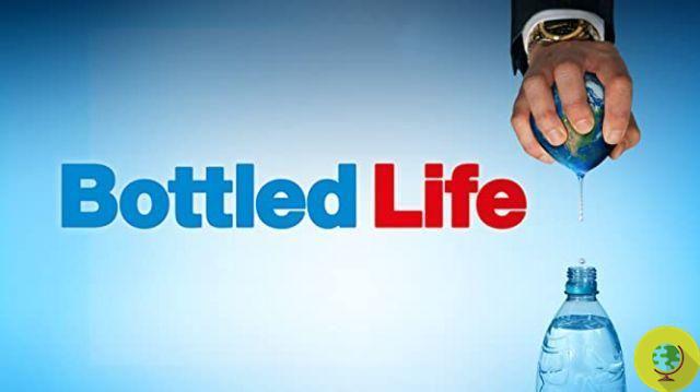 Bottle Life: el documental que revela el negocio del agua de Nestlé
