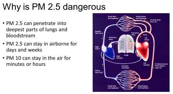 The effects of particulate matter (PM2.5) and fine dust in your body