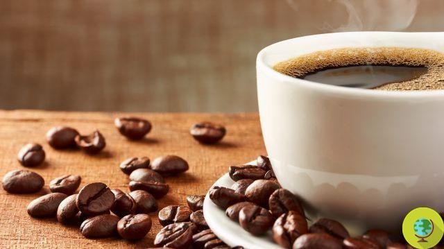 Coffee: if you drink 5 cups you fight Alzheimer's