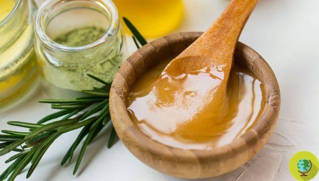Manuka honey: properties, uses and where to find it