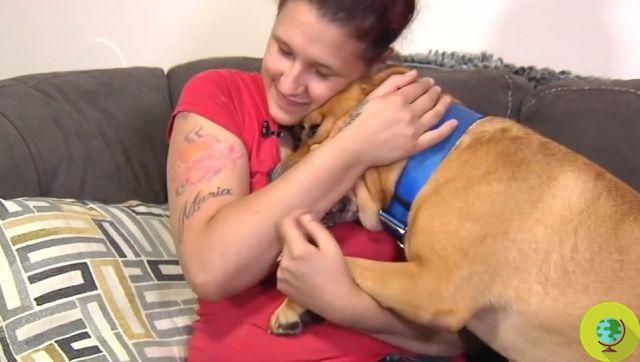 Tentando adotar um novo animal de estimação em um abrigo, ela encontra seu cachorro que desapareceu há 2 anos