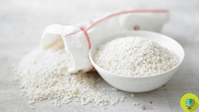10 usos alternativos para o arroz