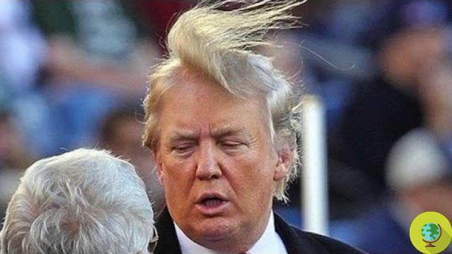 Trump: 'Para ter um cabelo perfeito no banho você precisa de mais água'. Governo pronto para aumentar a pressão das torneiras