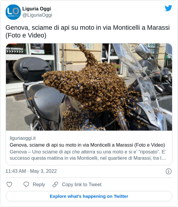 A swarm of traveling bees covers a motorcycle in Genoa, rescued by beekeepers