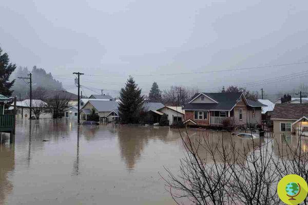 En Canadá continúa la 'tormenta del siglo', declaran estado de emergencia en Columbia Británica