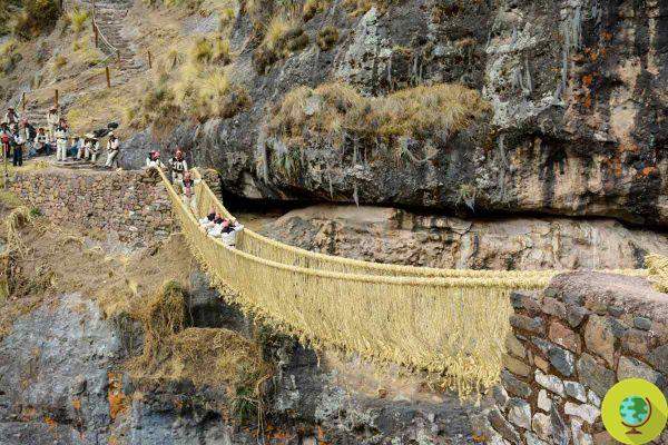 A última ponte inca no Peru desmorona devido à falta de manutenção devido à pandemia