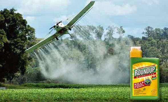 OGM: Holanda diz não à Monsanto e proíbe herbicida Roundup
