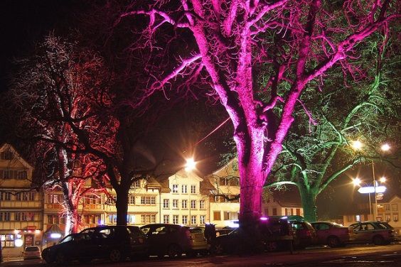 Bio-LED: árvores como postes de luz com nanopartículas de ouro