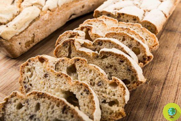 Gluten-free bread: types of bread and cereals used