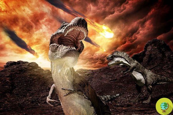 Los dinosaurios no se habrían extinguido, de hecho prosperaron. Un nuevo estudio revierte lo que sabíamos