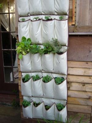 How to transform a storage compartment into a vertical garden