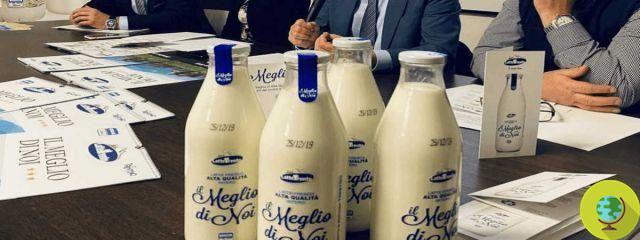 Le lait en bouteille revient à Trento pour réduire le plastique et les déchets
