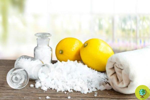 Limpando verduras com sal: 25 maneiras alternativas e faça você mesmo de usar em casa