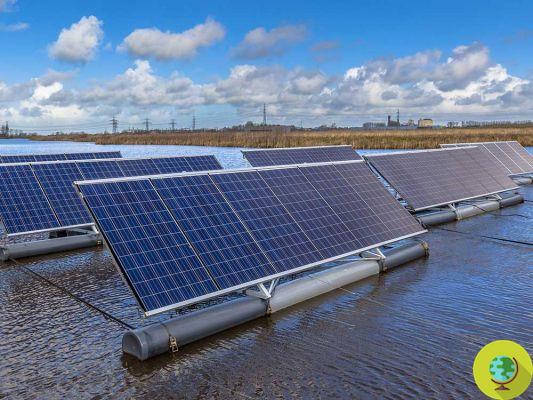Fotovoltaica flotante para salvar la tierra (la que se cultiva)