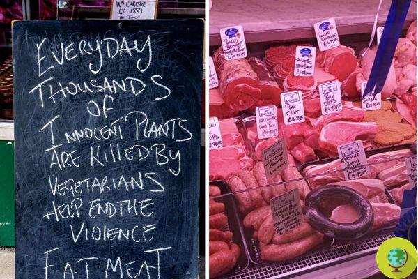 Butchers invite you to eat meat to save plants, an old rhetoric that doesn't even make you laugh