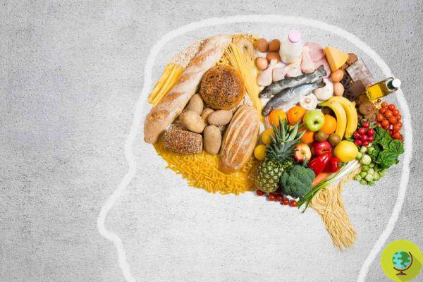 Brain Food: aquí está la dieta que es buena para el cerebro y nos hace más inteligentes