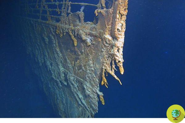 Le Titanic est en train de disparaître : voici comment et pourquoi la mer mange l'épave (PHOTO et VIDEO)