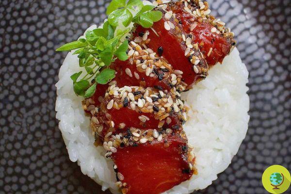 “Atún” con sandía: falso sashimi es el plato de verano que se está haciendo popular en Tik Tok