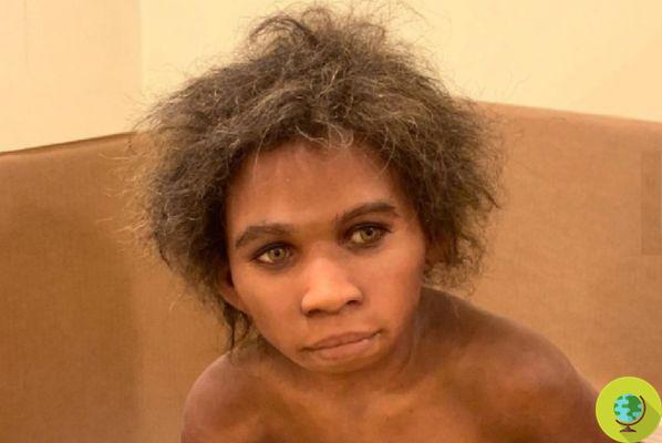 A criança de Isernia voltou para casa: o pequeno homo heidelbergensis voltou da França