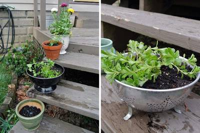 Aromatic herbs: 10 creatively recycled ideas to grow them in pots