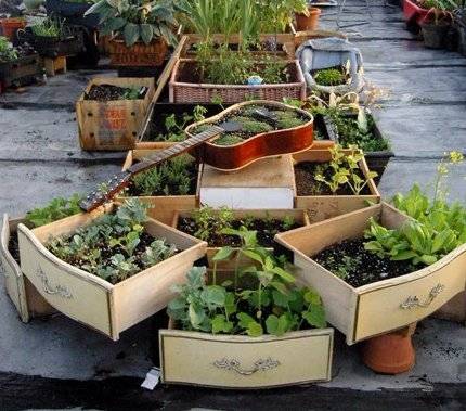 Ervas aromáticas: 10 ideias criativamente recicladas para cultivá-las em vasos