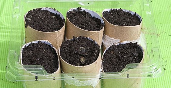 Hierbas aromáticas: 10 ideas creativamente recicladas para cultivarlas en macetas
