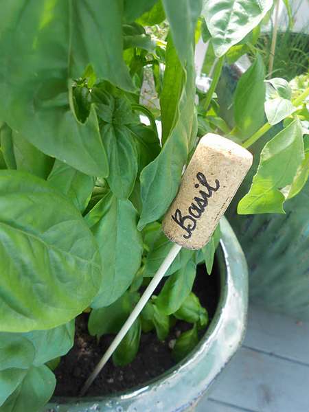 Herbes aromatiques : 10 idées recyclées créatives pour les cultiver en pot