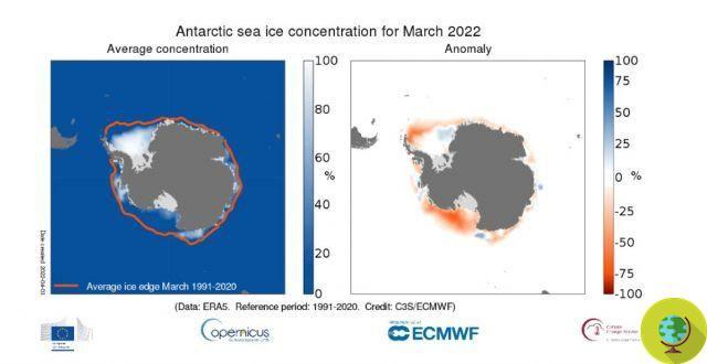 Marzo de 2022 fue uno de los más calurosos de la historia a nivel mundial, ya que el hielo antártico se redujo de manera alarmante