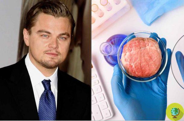 Leonardo Di Caprio invierte en carne sintética para combatir la crisis climática